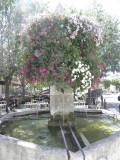 Fontaine fleurie de l'Ancienne Grande Rue