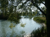 Lac de pêche des Buissonnades à Oraison
