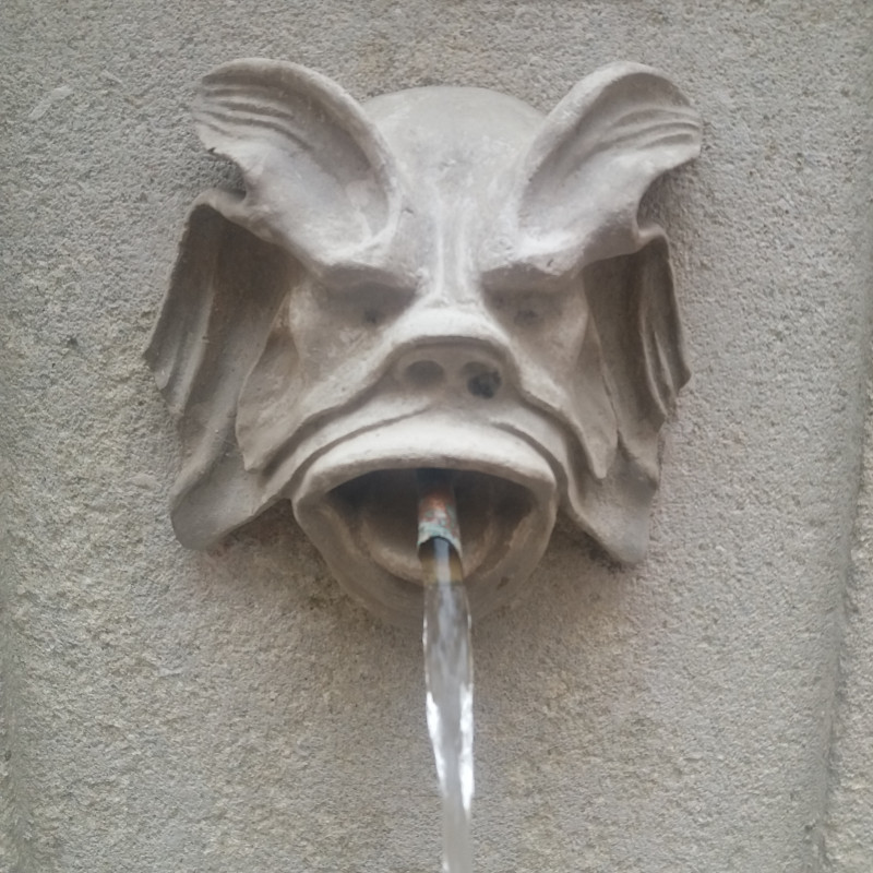 Détail de la fontaine rue Guilhempierre