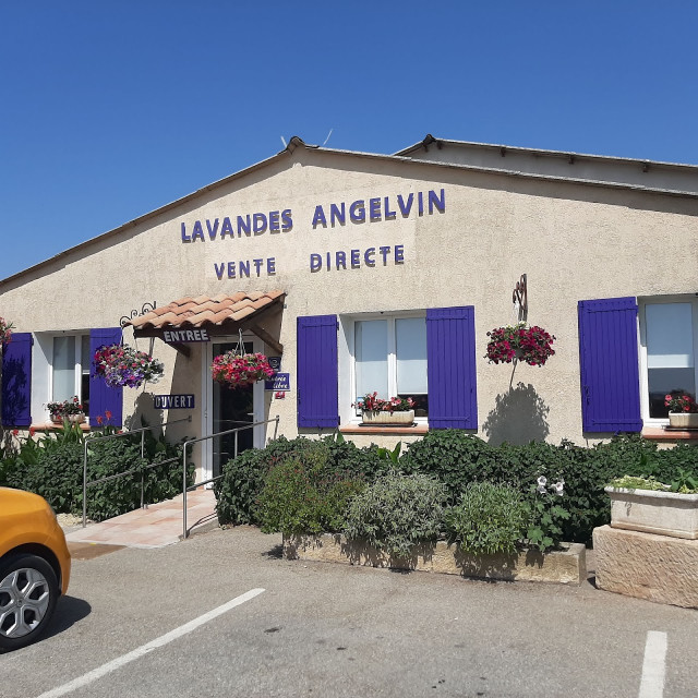 Guided tour of the Distillerie Lavandes Angelvin